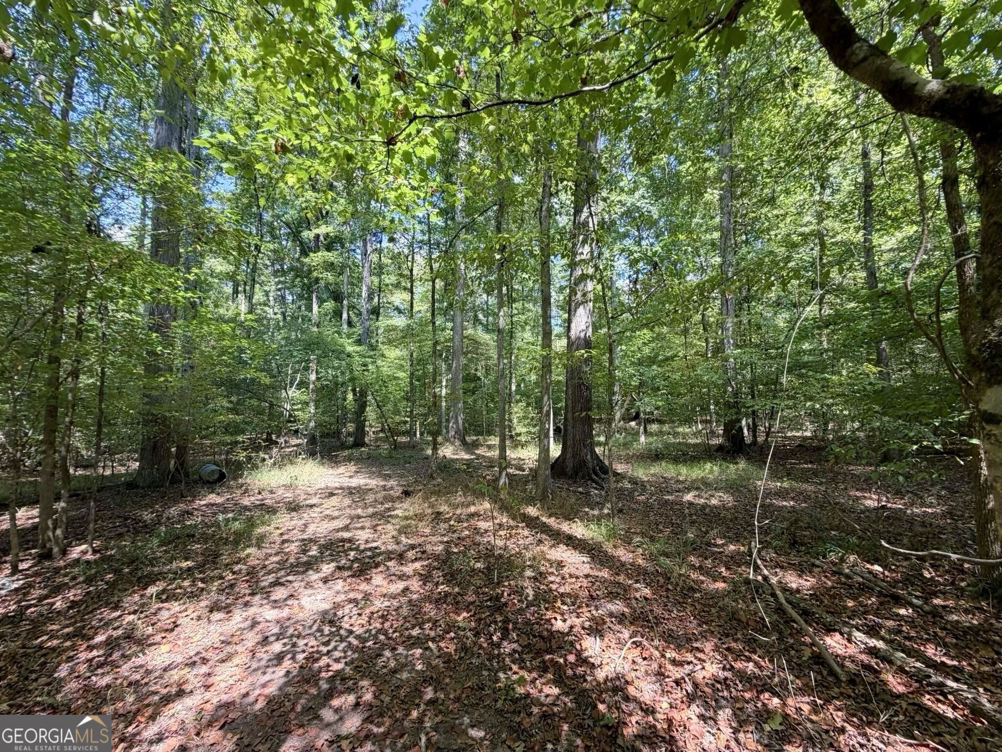 11 Bunch Road Tignall, GA 30668 - Photo 64 of 81 Gallery Image 64