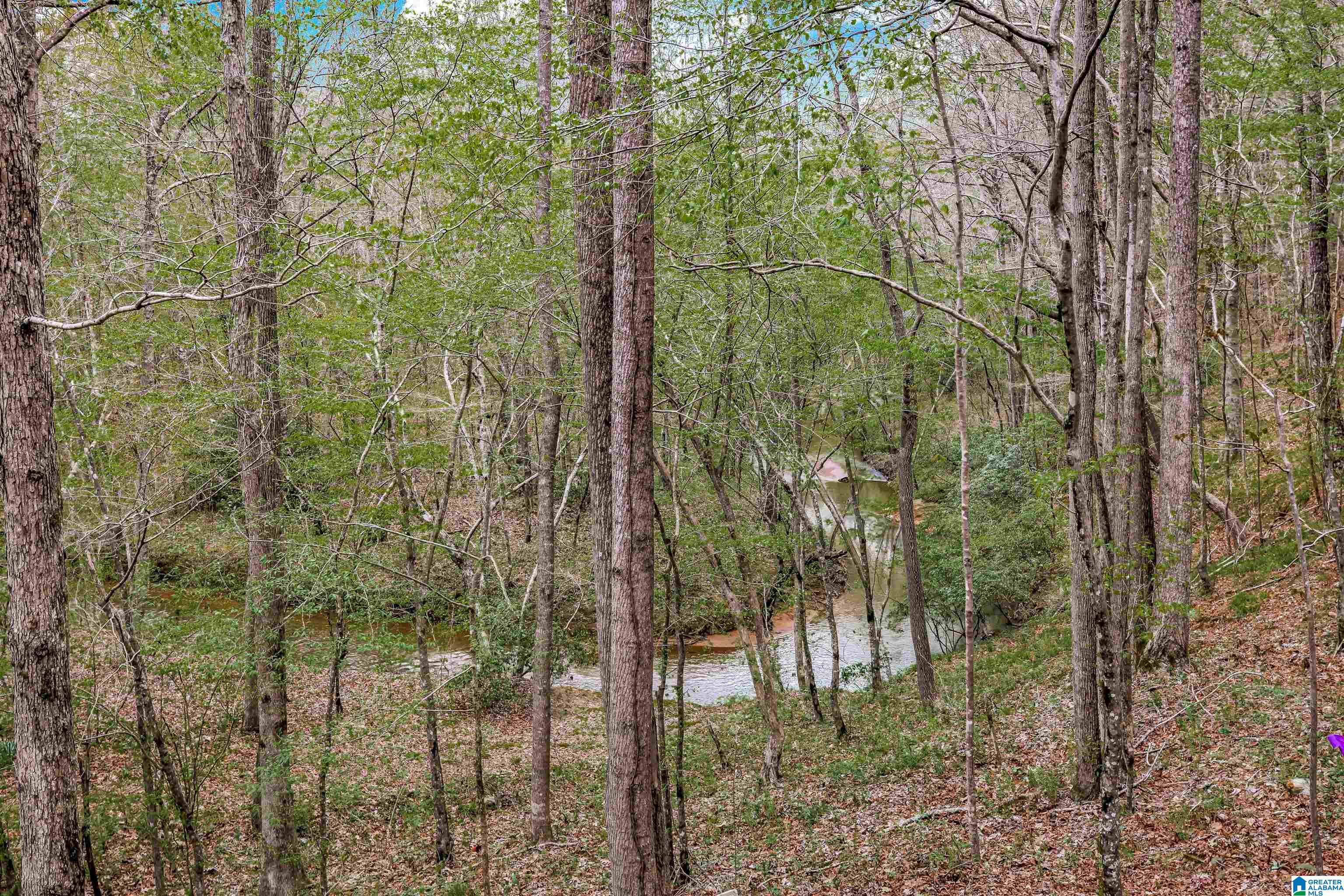 120 Mountain Crk Road Springville, AL 35146 - Photo 18 of 31