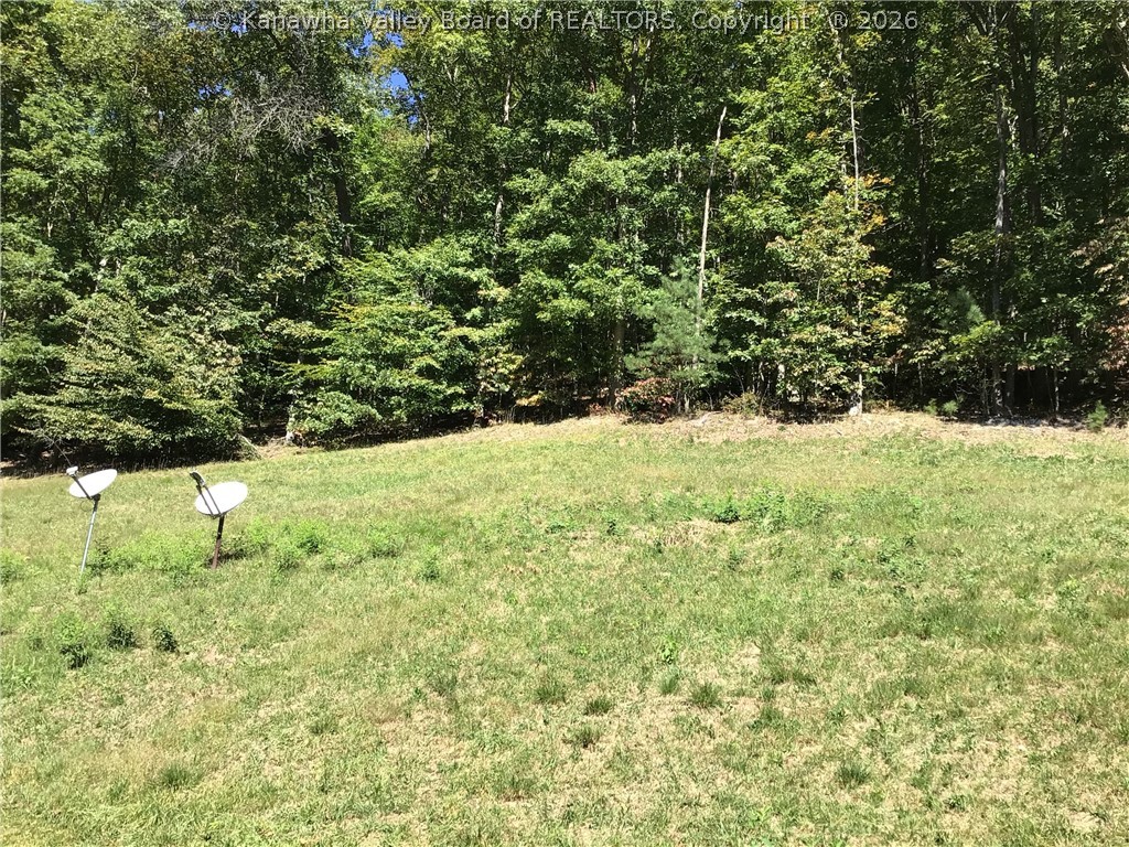1469 Queen Road Clendenin, WV 25045 - Photo 13 of 45 Gallery Image 13