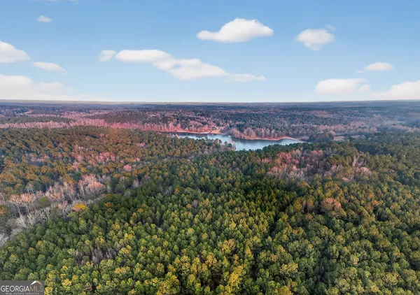 $4,300,000 | 175 Thornton Road, Franklin, GA 30217