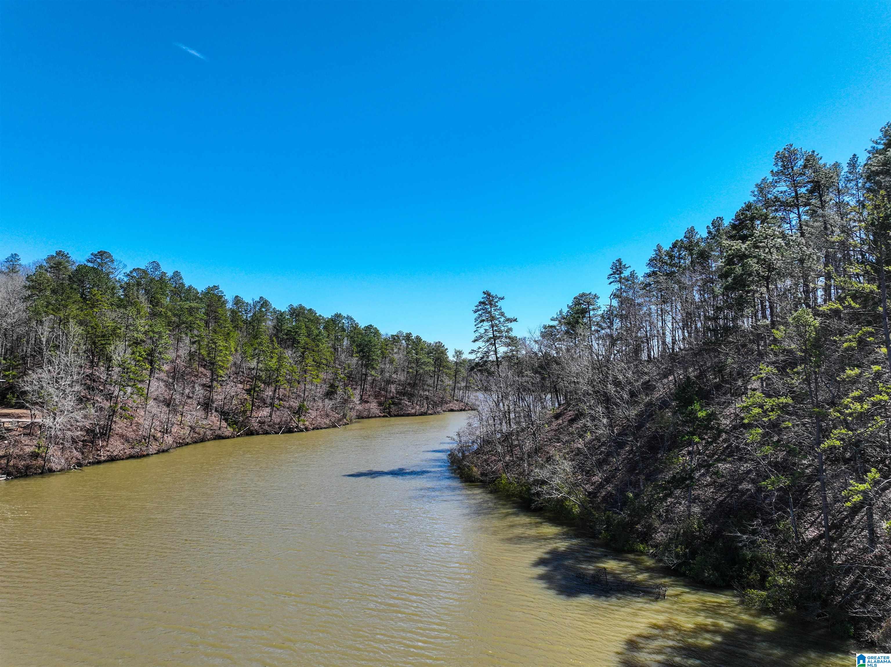 0 Preserve Road, Unit LOT 8 Rockford, AL 35136 - Photo 8 of 8