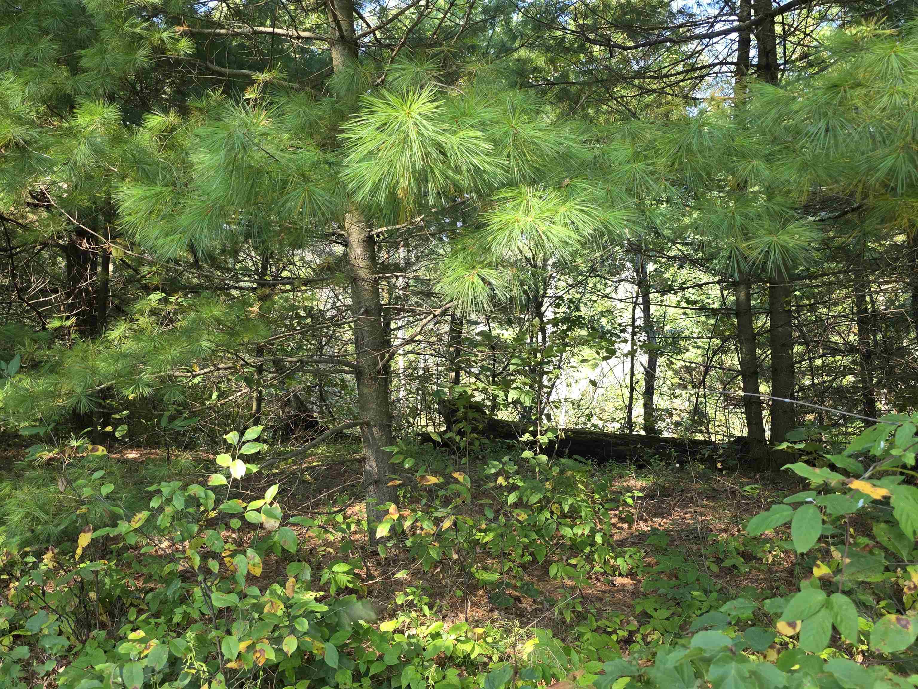 W6256 A County Road New Lisbon, WI 53950 - Photo 39 of 50