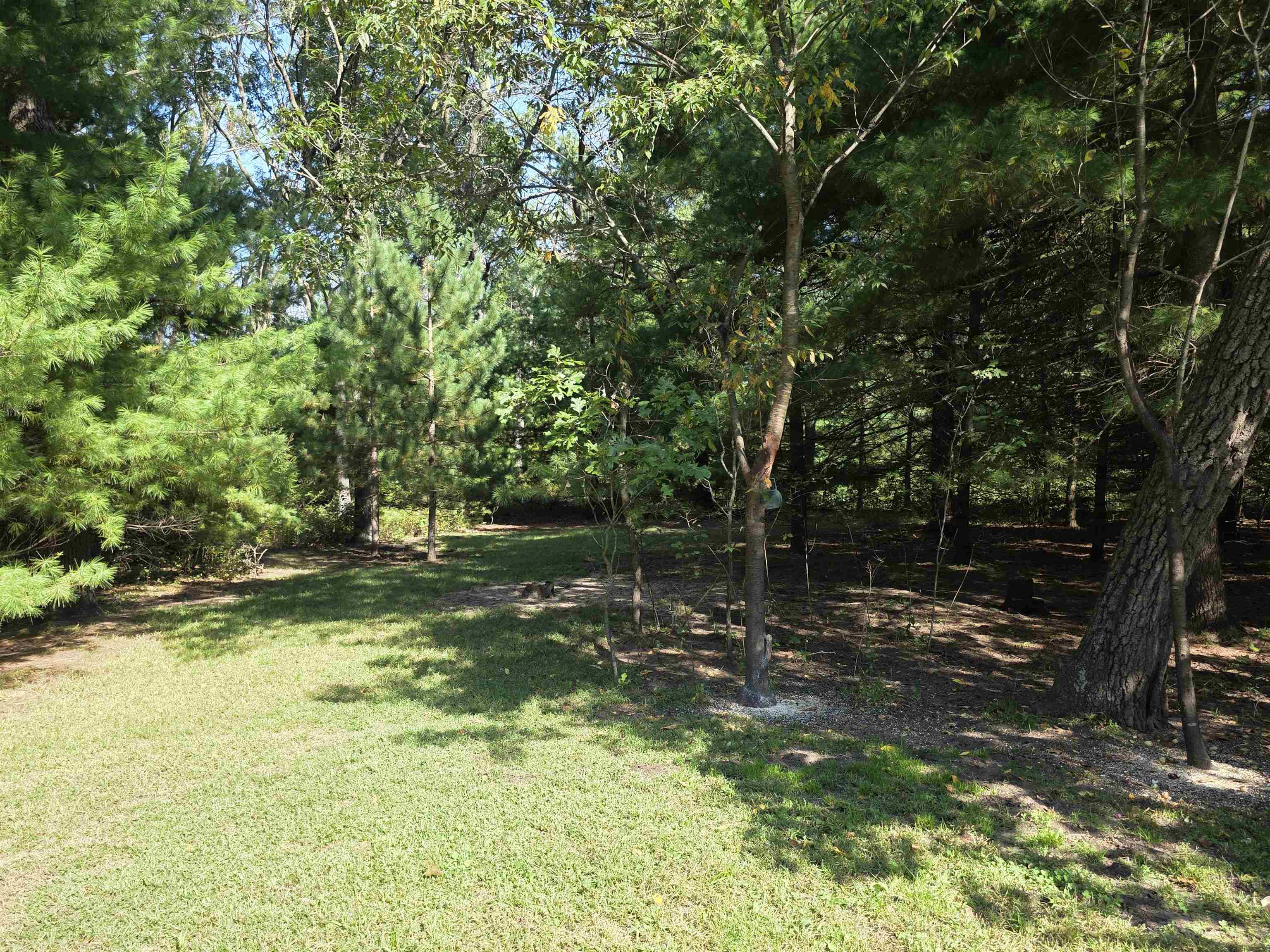 W6256 A County Road New Lisbon, WI 53950 - Photo 40 of 50