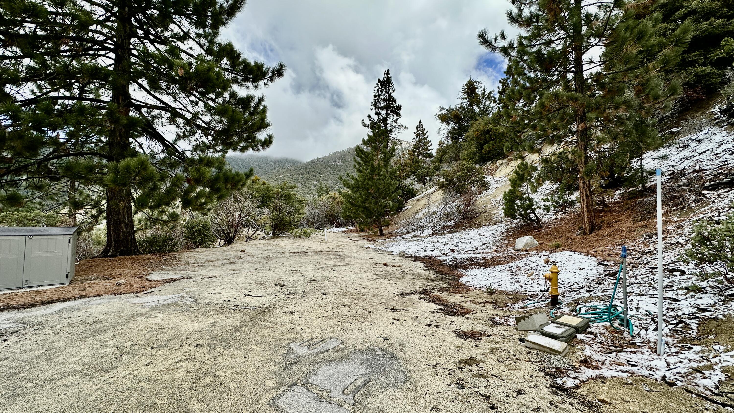 0 Cougar Road Idyllwild, CA 92549 - Photo 8 of 19 IMG_E2289