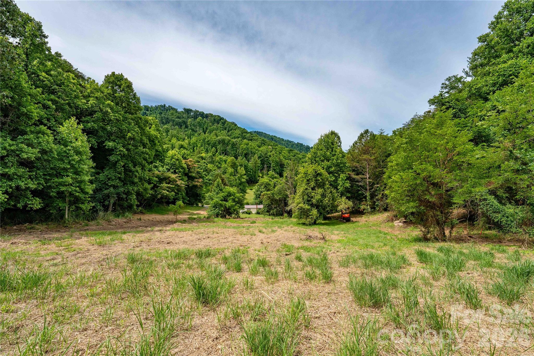 9999 Morgan Branch Road Weaverville, NC 28787 - Photo 3 of 24