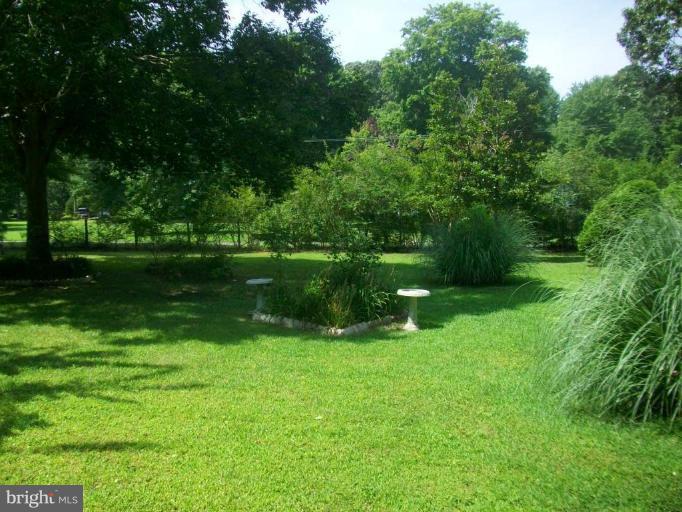 48420 Mattapany Road Lexington Park, MD 20653 - Photo 7 of 7 a view of a garden with a lake