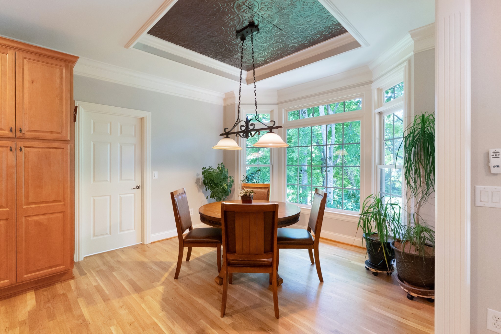 205 St Anne Way Franklin, TN 37064 - Photo 23 of 100