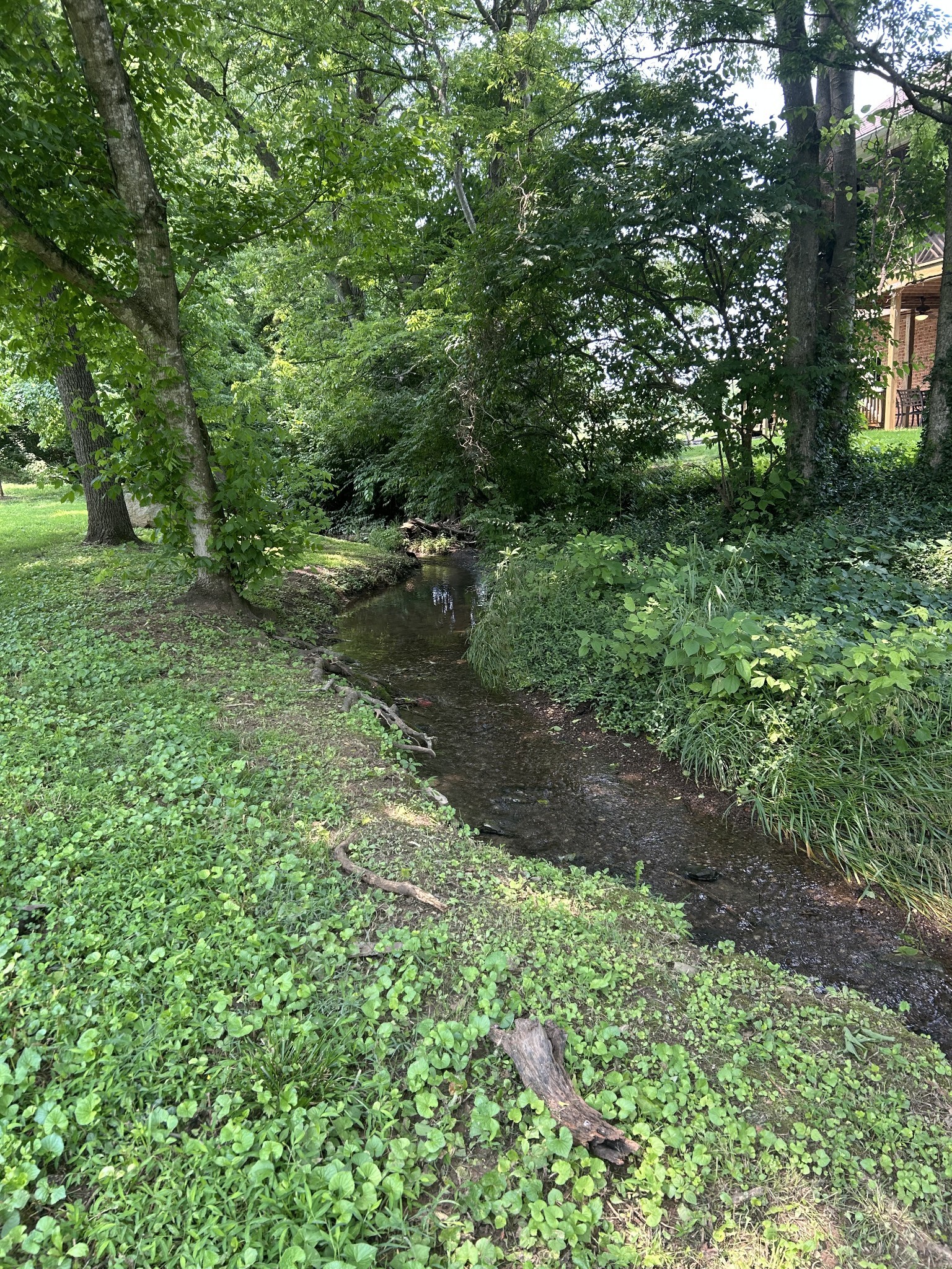 205 St Anne Way Franklin, TN 37064 - Photo 70 of 100