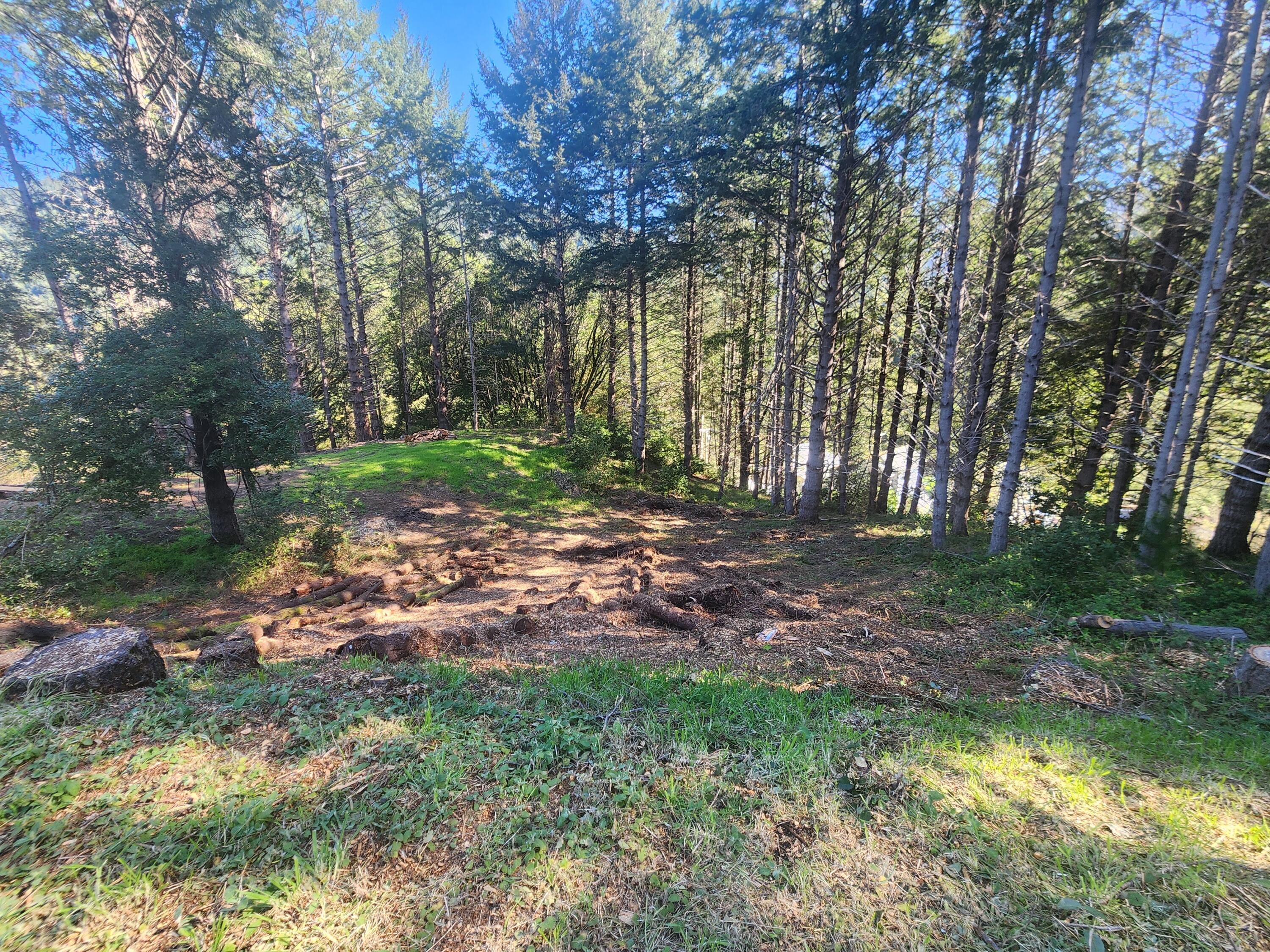 181 Ridge Road Shelter Cove, CA 95589 - Photo 4 of 9