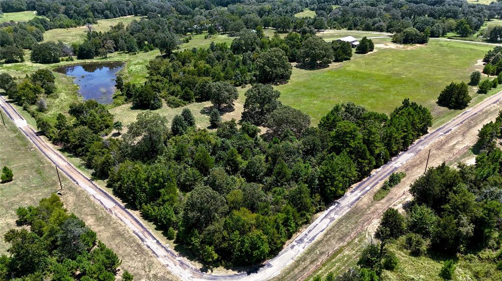 Tbd Tbd Lee Drive Murchison, TX 75778 - Photo 12 of 13 a view of a garden with an outdoor seating