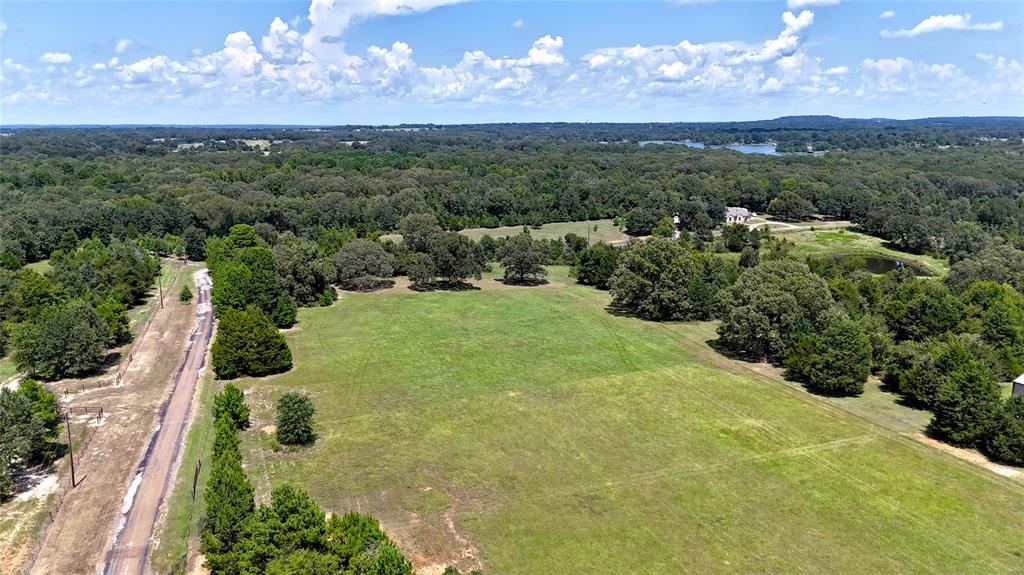 Tbd Tbd Lee Drive Murchison, TX 75778 - Photo 13 of 13 a view of a city