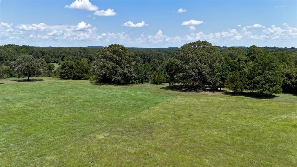 Tbd Tbd Lee Drive Murchison, TX 75778 - Photo 4 of 13 a view of an outdoor space and yard