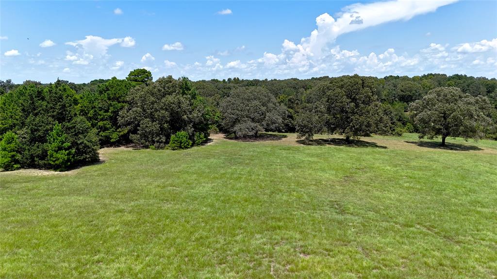 Tbd Tbd Lee Drive Murchison, TX 75778 - Photo 5 of 13 a view of an outdoor space and yard