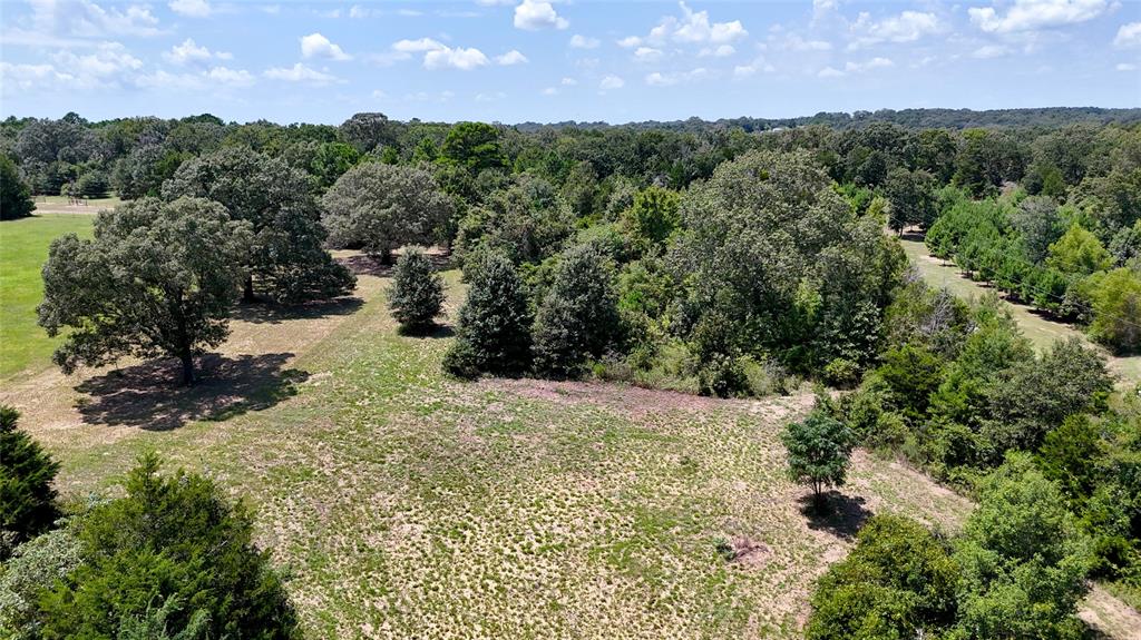 Tbd Tbd Lee Drive Murchison, TX 75778 - Photo 7 of 13 a view of outdoor space and yard
