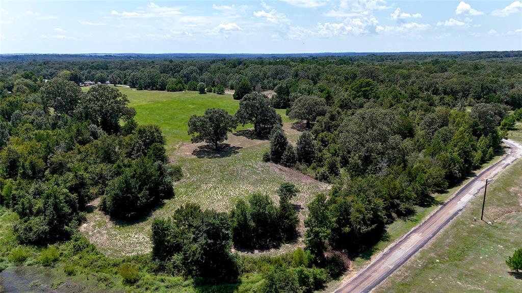 Tbd Tbd Lee Drive Murchison, TX 75778 - Photo 8 of 13 a view of a garden with lawn chairs under an umbrella