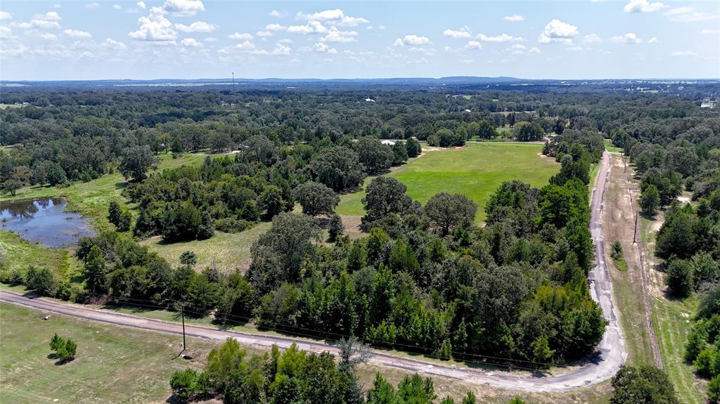 Tbd Tbd Lee Drive Murchison, TX 75778 - Photo 10 of 13 an aerial view of green landscape with trees houses and mountain view