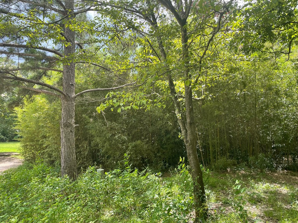 0 Floyd Dothan, AL 36301 - Photo 2 of 3