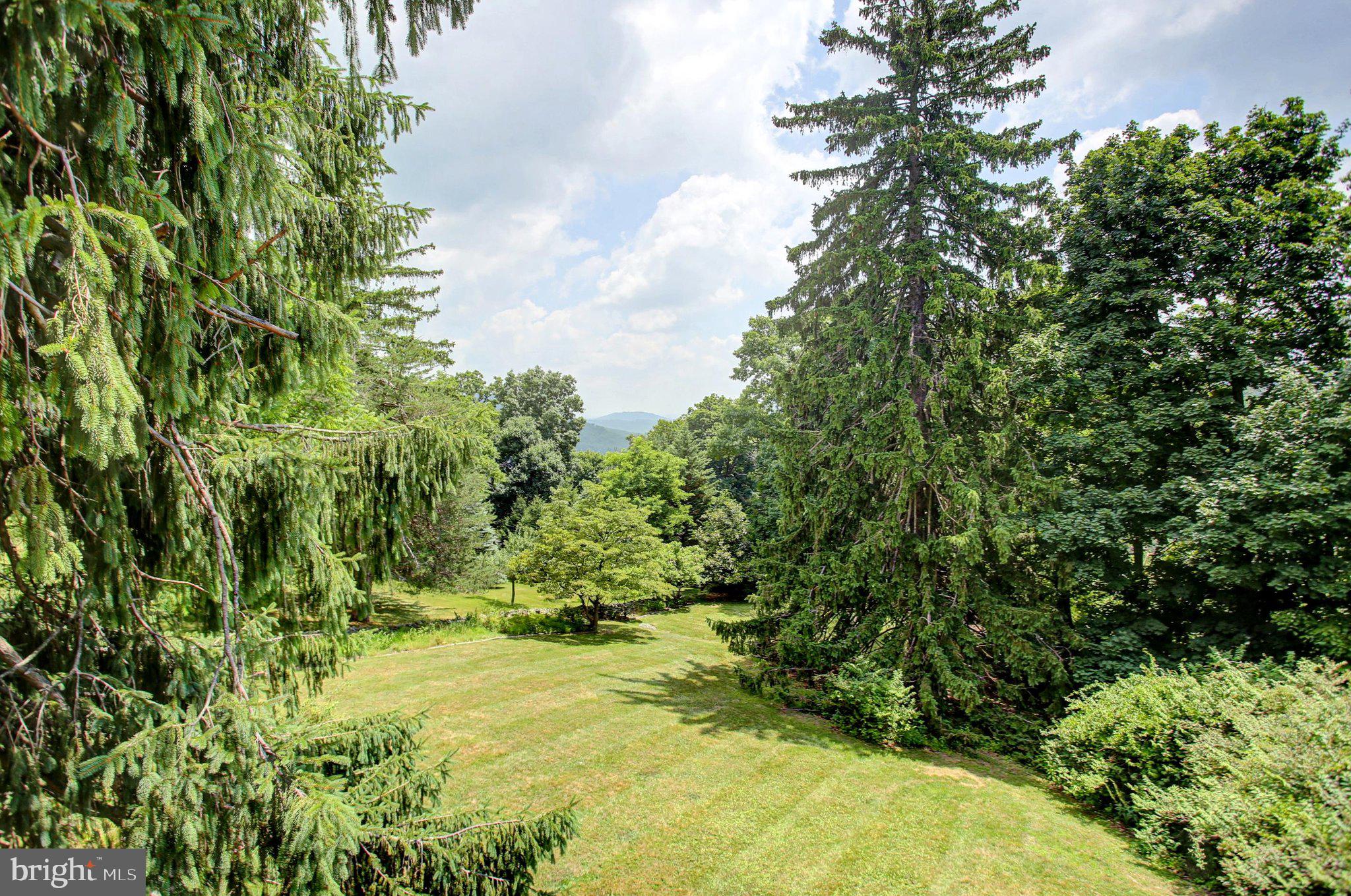 12494 Lower Monterey Circle Blue Ridge Summit, PA 17214 - Photo 60 of 68