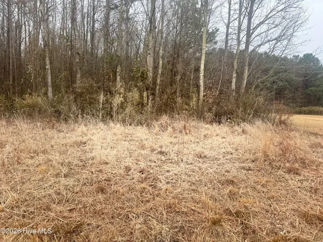 $55,000 | 0 Center Hill Highway, Hertford, NC 27944