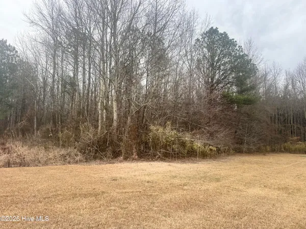 $52,000 | 0 Center Hill Highway, Hertford, NC 27944