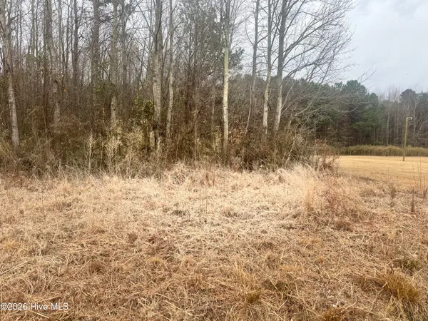 $52,000 | 0 Center Hill Highway, Hertford, NC 27944