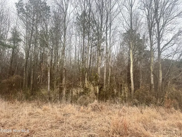 $55,000 | 0 Center Hill Highway, Hertford, NC 27944