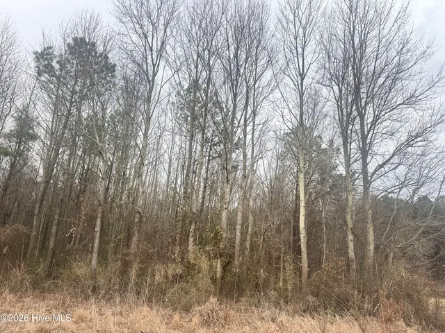 $55,000 | 0 Center Hill Highway, Hertford, NC 27944