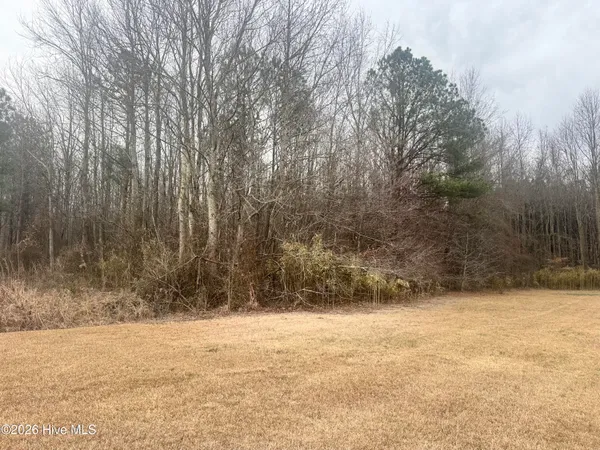 $52,000 | 0 Center Hill Highway, Hertford, NC 27944