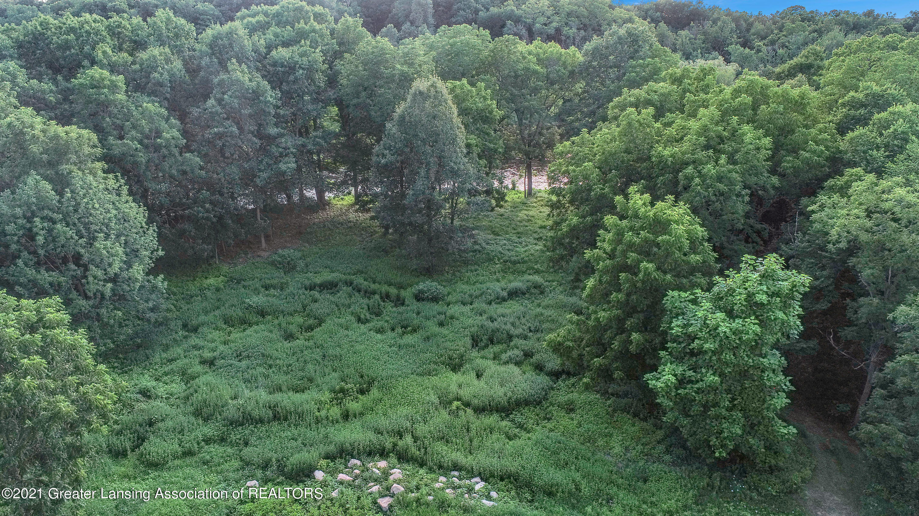 15150 South Jones Road Eagle, MI 48822 - Photo 62 of 68 DJI_0299