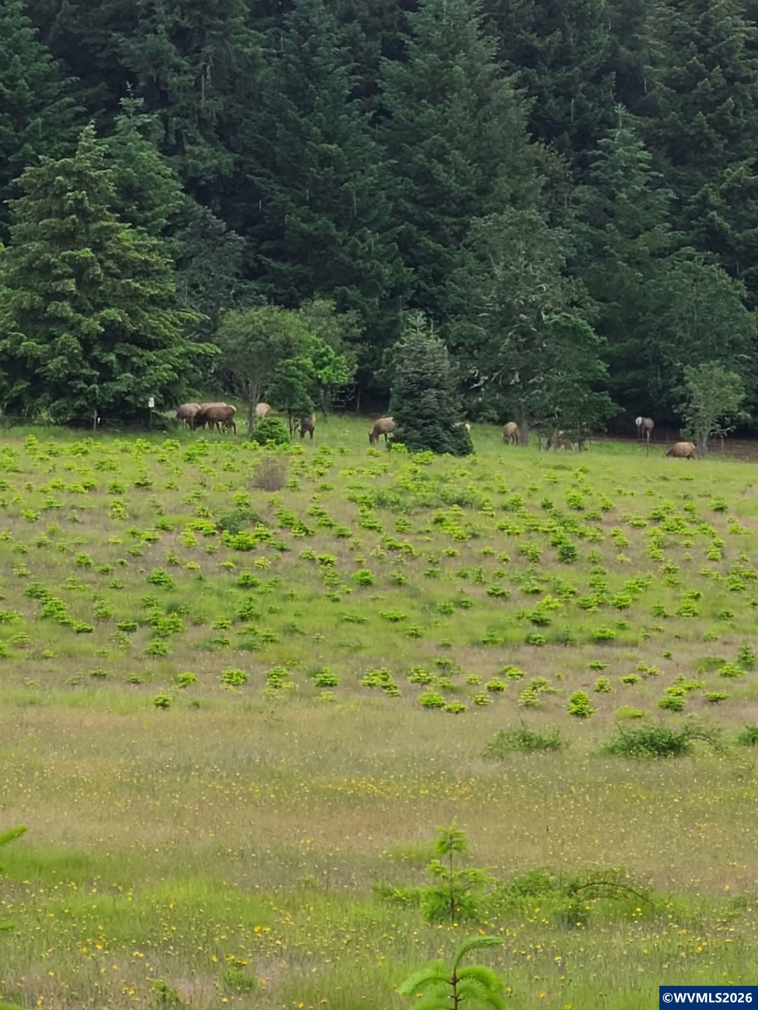 26191 Bruce Road Monroe, OR 97456 - Photo 20 of 27