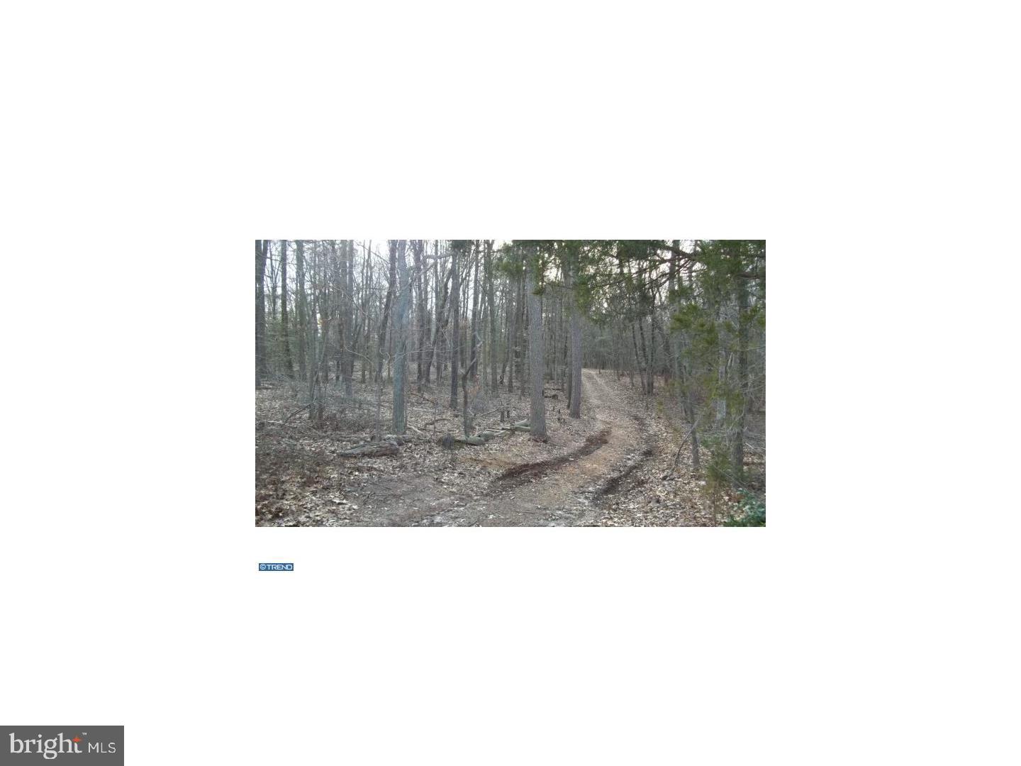 0 Quinton-Marlboro Road Salem, NJ 08079 - Photo 12 of 13