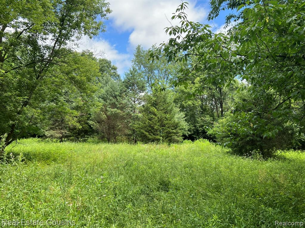 5440 Lobdell Road Fenton, MI 48430 - Photo 10 of 20