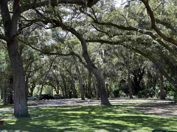 a view of green field with trees
