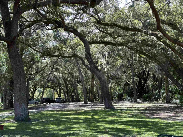 a view of green field with trees