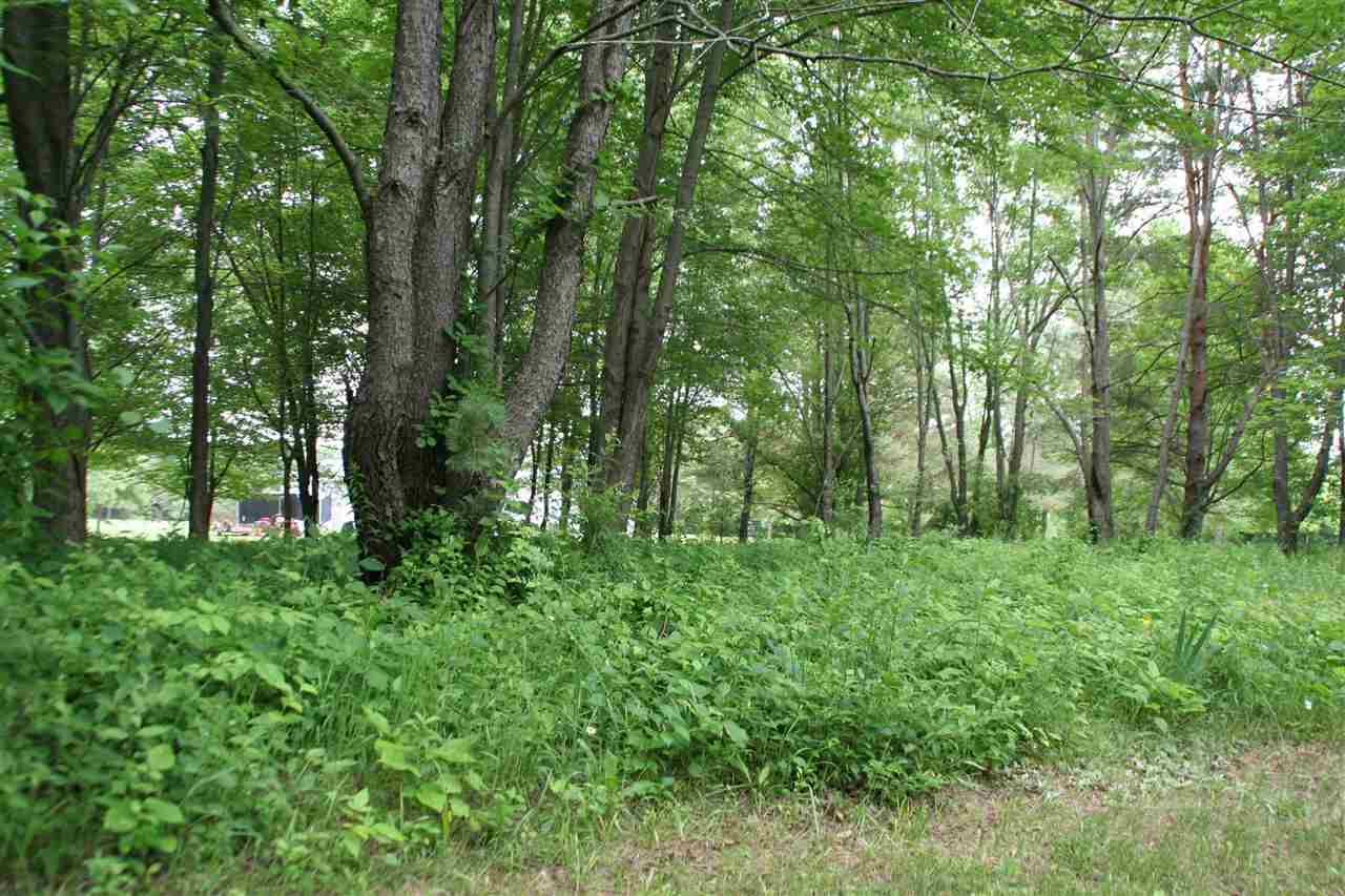 2440 East Mt Morris Road Mount Morris, MI 48458 - Photo 23 of 81 50049390-22.JPG