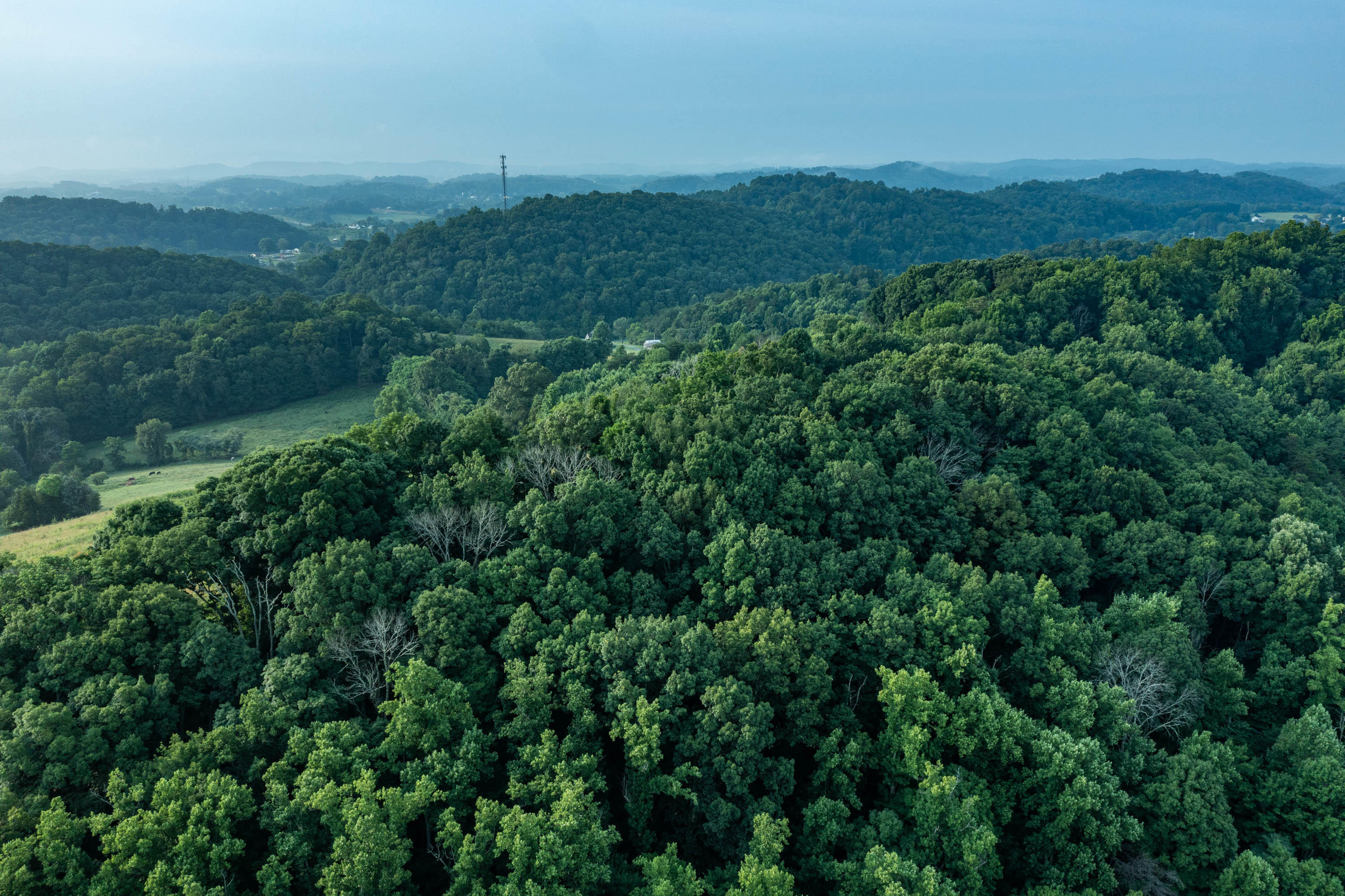 Tbd Cox Hollow Road Kingsport, TN 37663 - Photo 14 of 25 234 Cox Hollow Rd-12