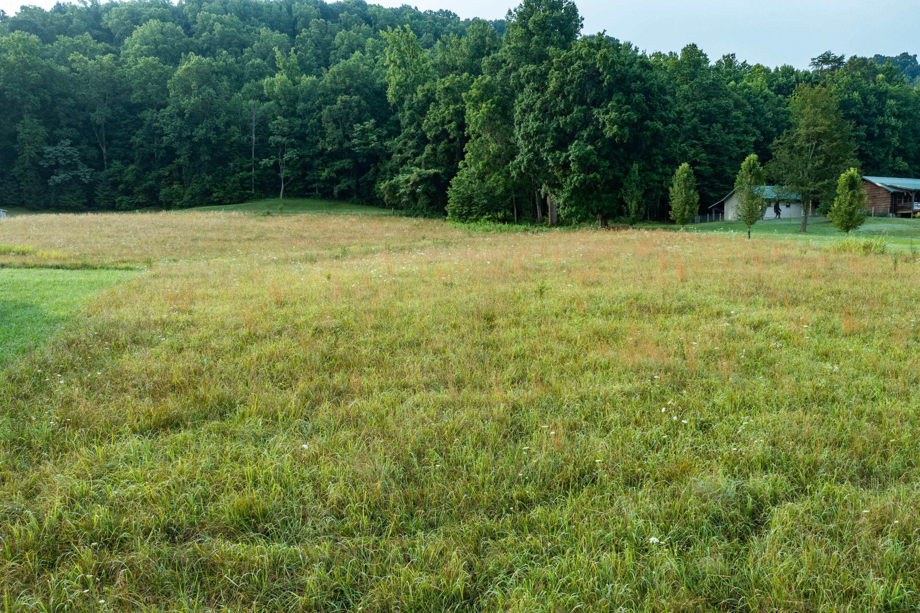Tbd Cox Hollow Road Kingsport, TN 37663 - Photo 17 of 25 234 Cox Hollow Rd-15