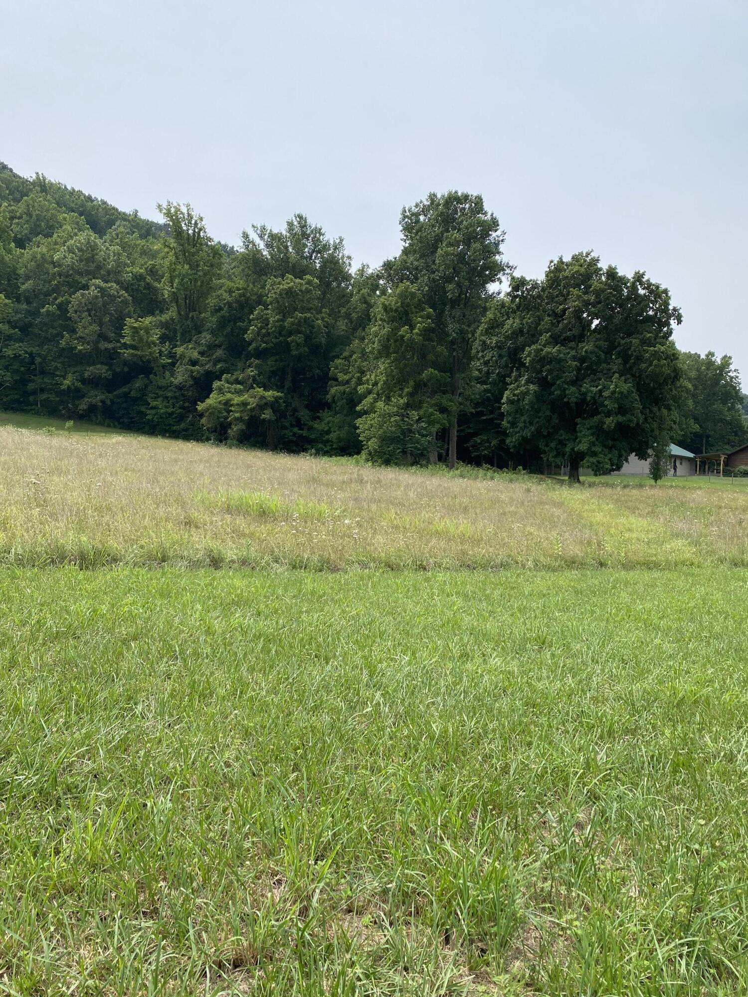 Tbd Cox Hollow Road Kingsport, TN 37663 - Photo 4 of 25 cox 3