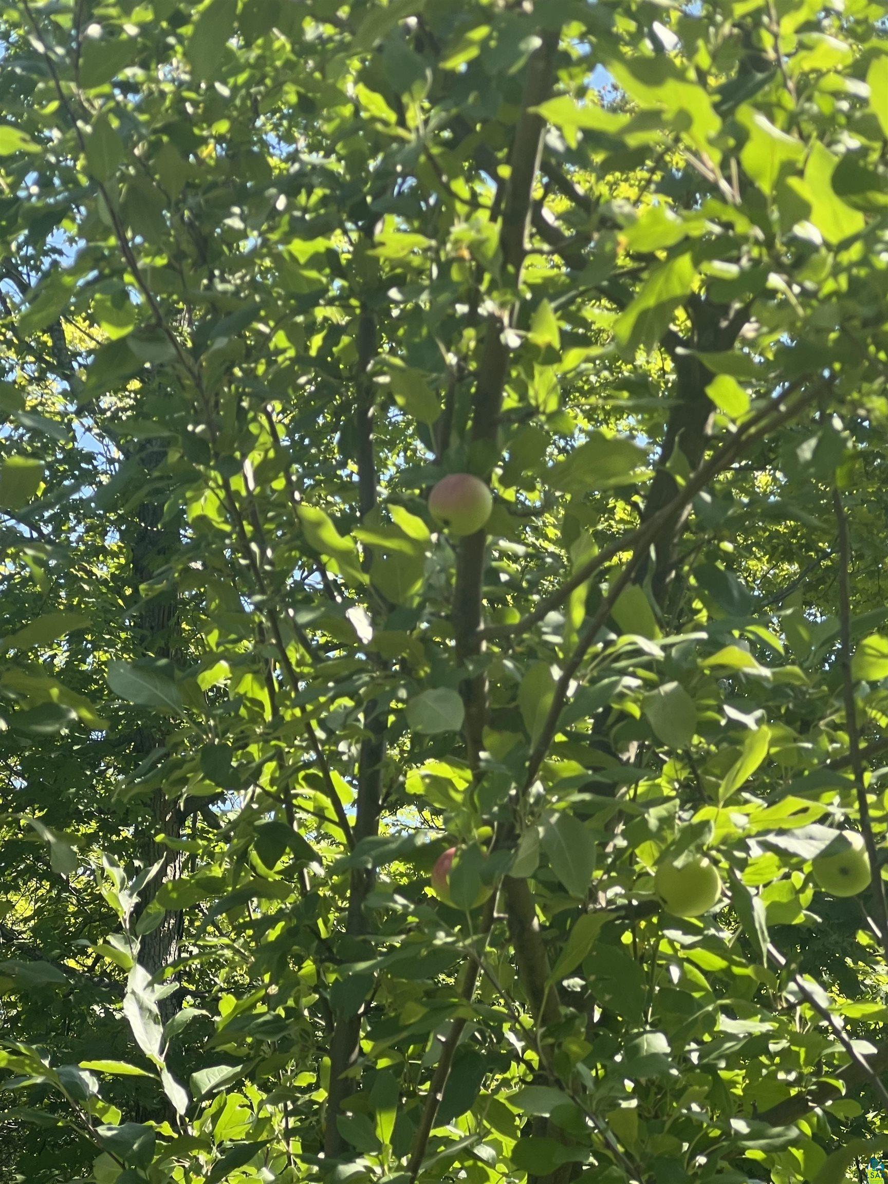 5076 Heffelfinger Road Finland, MN 55603 - Photo 30 of 40 Gallery Image 30