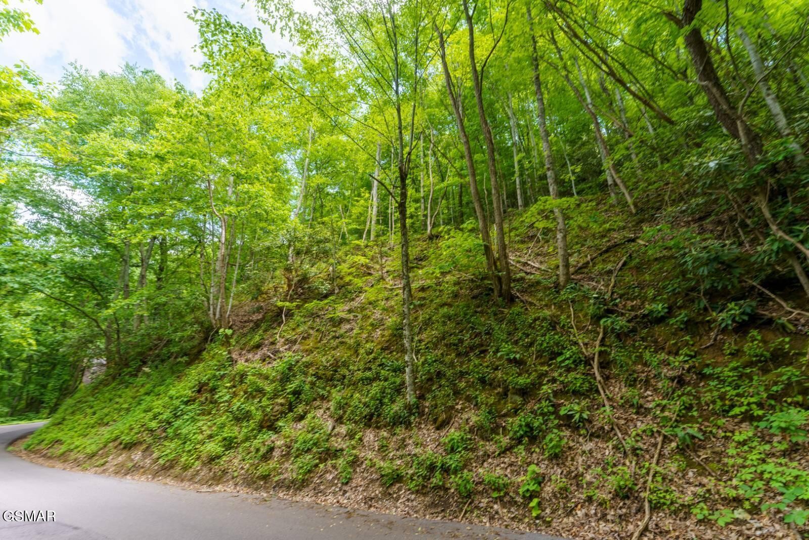 12 Zurich Road Gatlinburg, TN 37738 - Photo 1 of 13