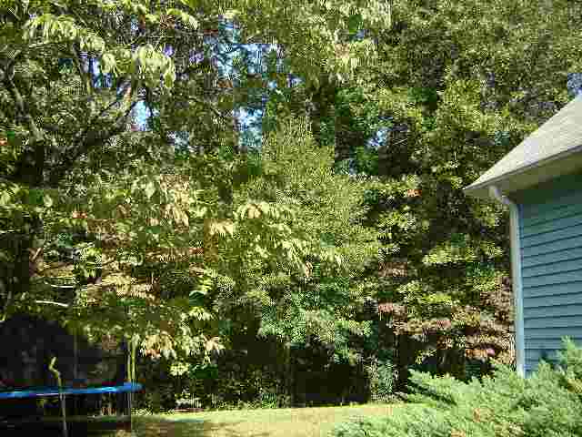 15005 Beacon Ridge Drive Seneca, SC 29678 - Photo 9 of 9 Gallery Image 9