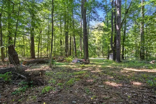a view of backyard with trees