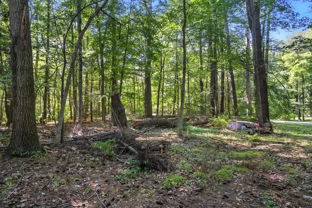 a backyard of a house with lots of green space