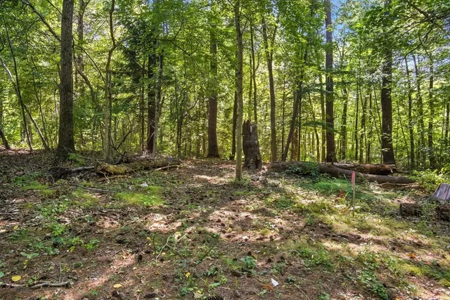 a view of backyard with green space