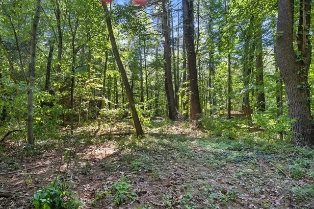 a view of outdoor space and green space