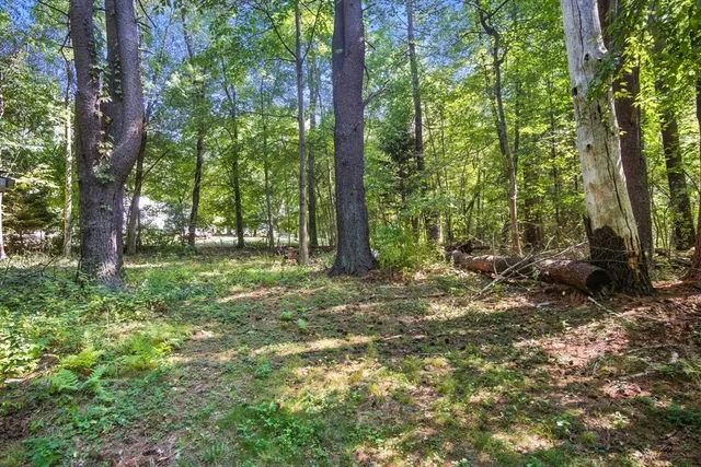 a view of outdoor space with trees