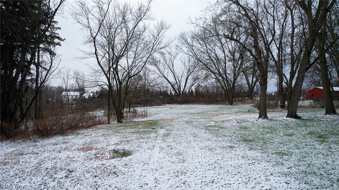 467 Center Road Hinckley, OH 44233 - Photo 6 of 20 View of land