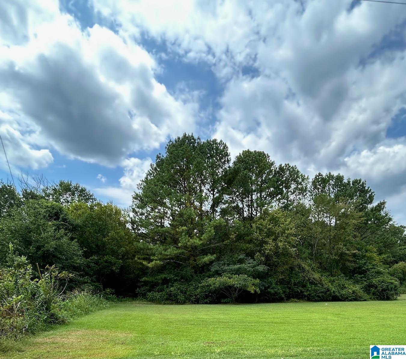 0 Glade Road Anniston, AL 36206 - Photo 1 of 4