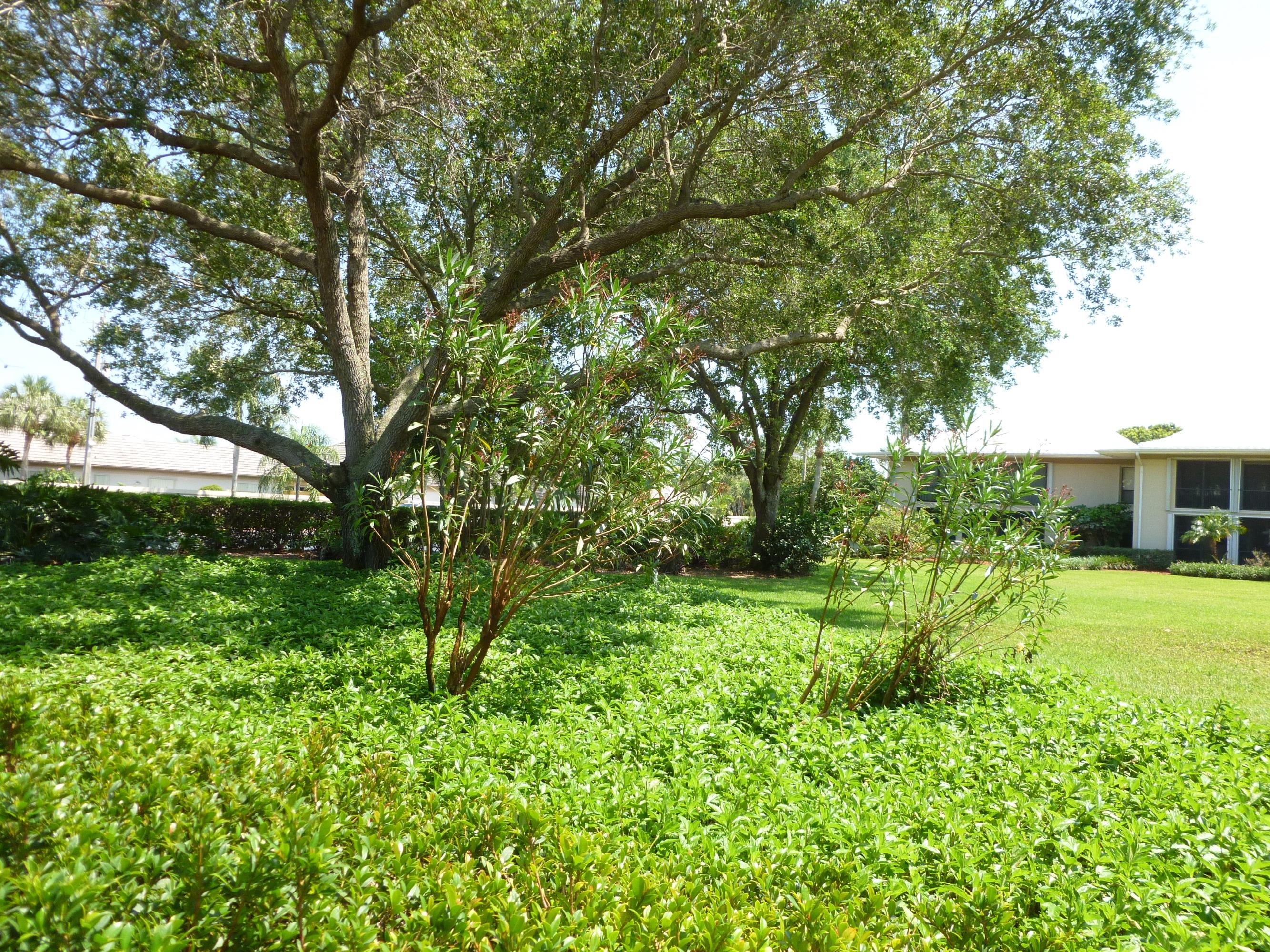 6 Concourse Drive, Unit 6B Jupiter, FL 33469 - Photo 6 of 28 GARDEN VIEW
