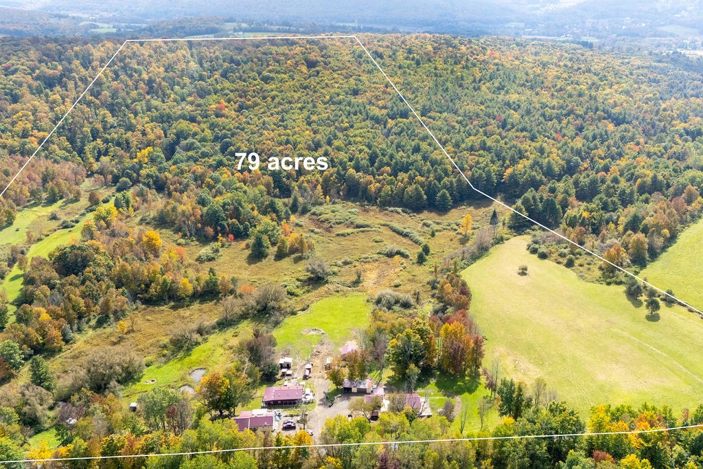1668 Vandervort Hill Road Unadilla, NY 13849 - Photo 50 of 50 Vast forested acreage offers rolling hills and scenic meadow views.